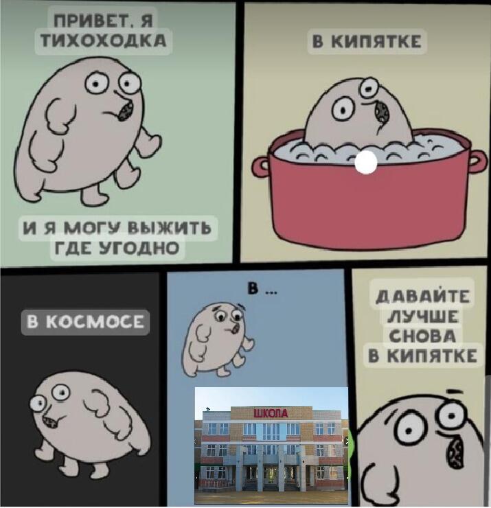 Мем от void_mp