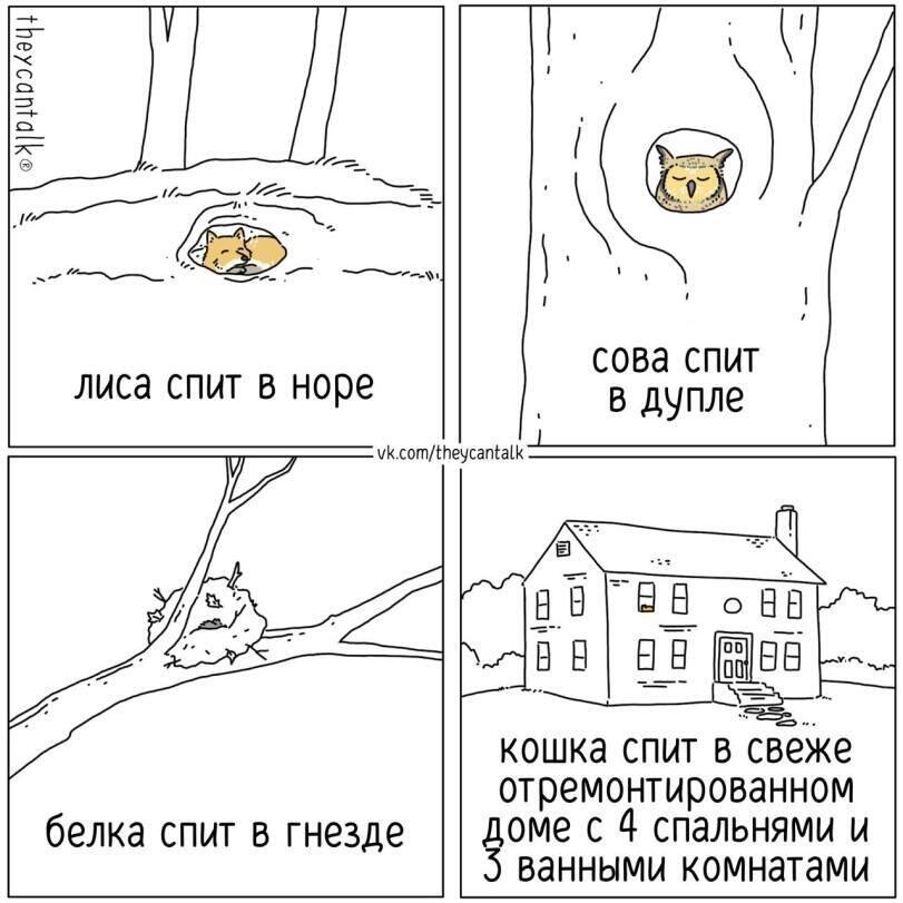Мем от КотоУт