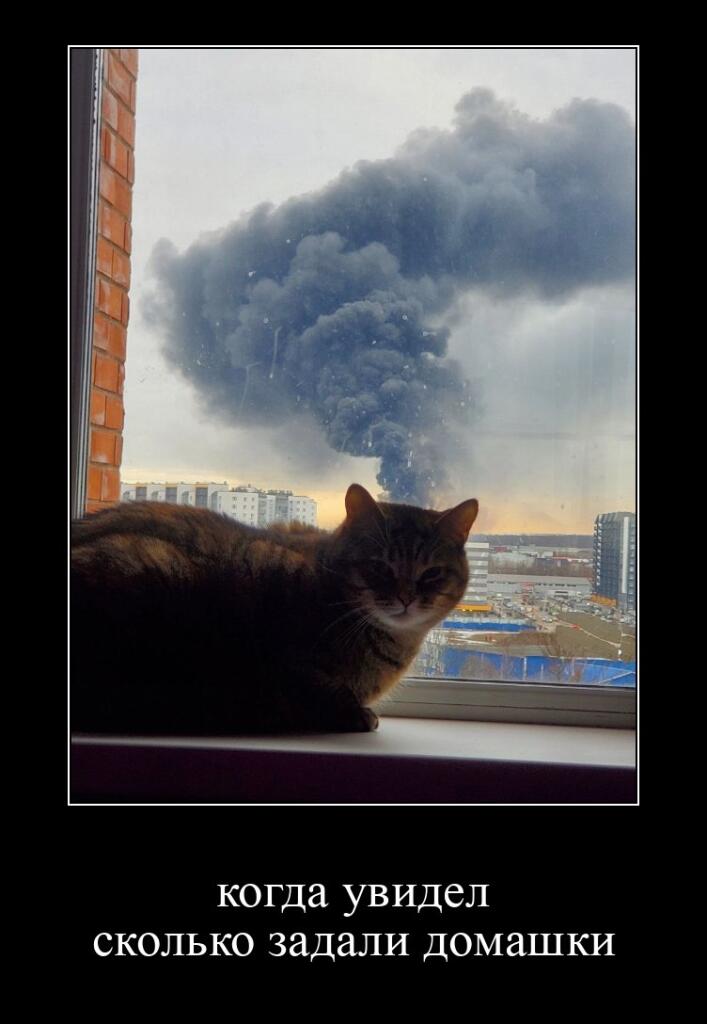 Мем без подписи