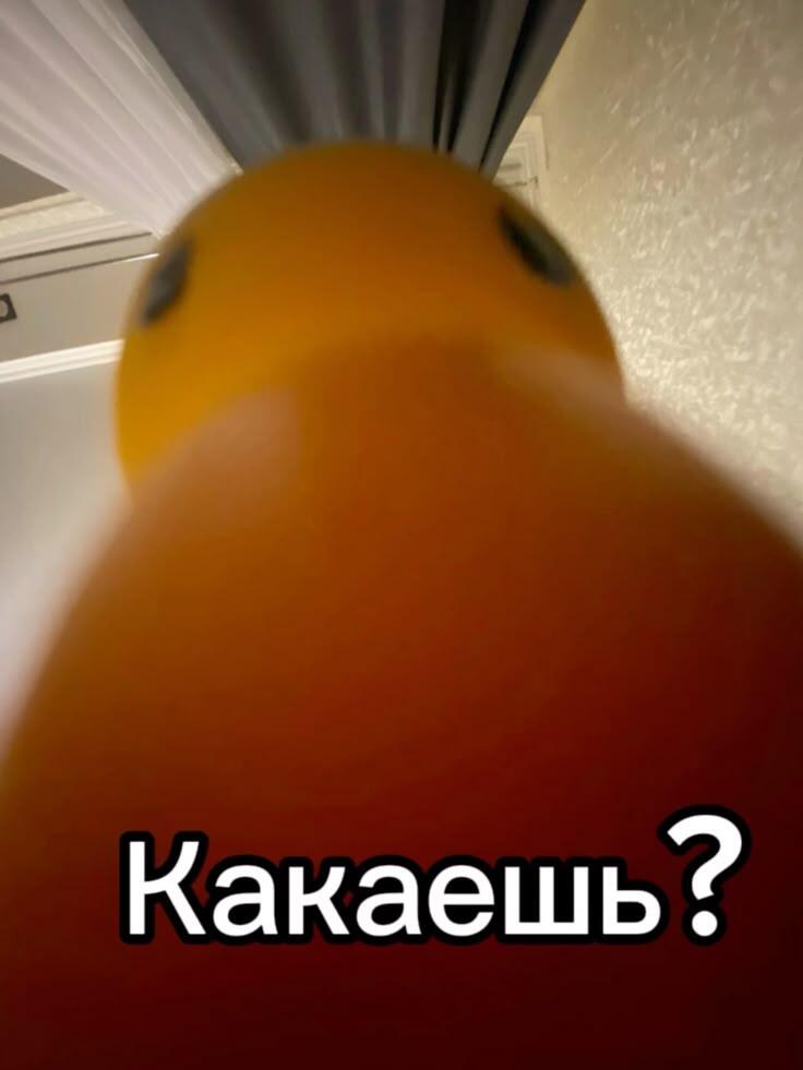 Ну собственно да...