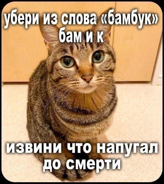 Мем от Essence
