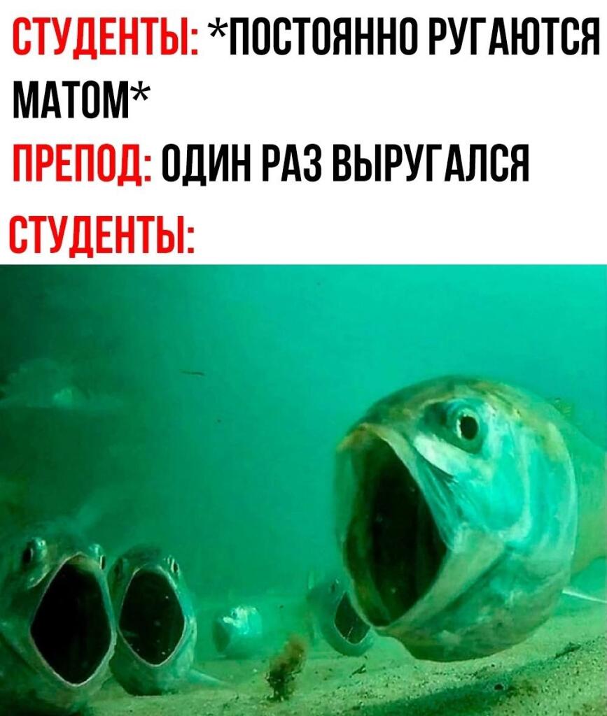 Мем от misfortune official