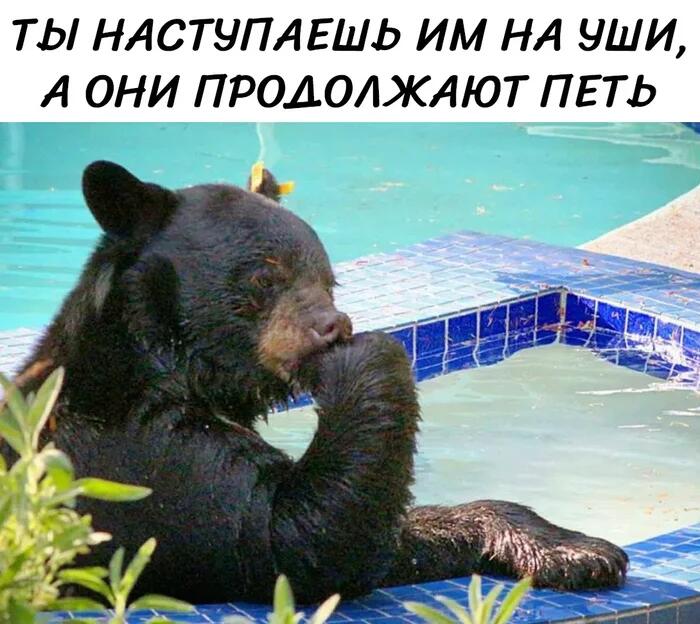 Мэм