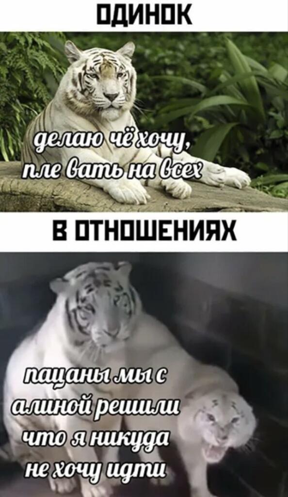Жиза