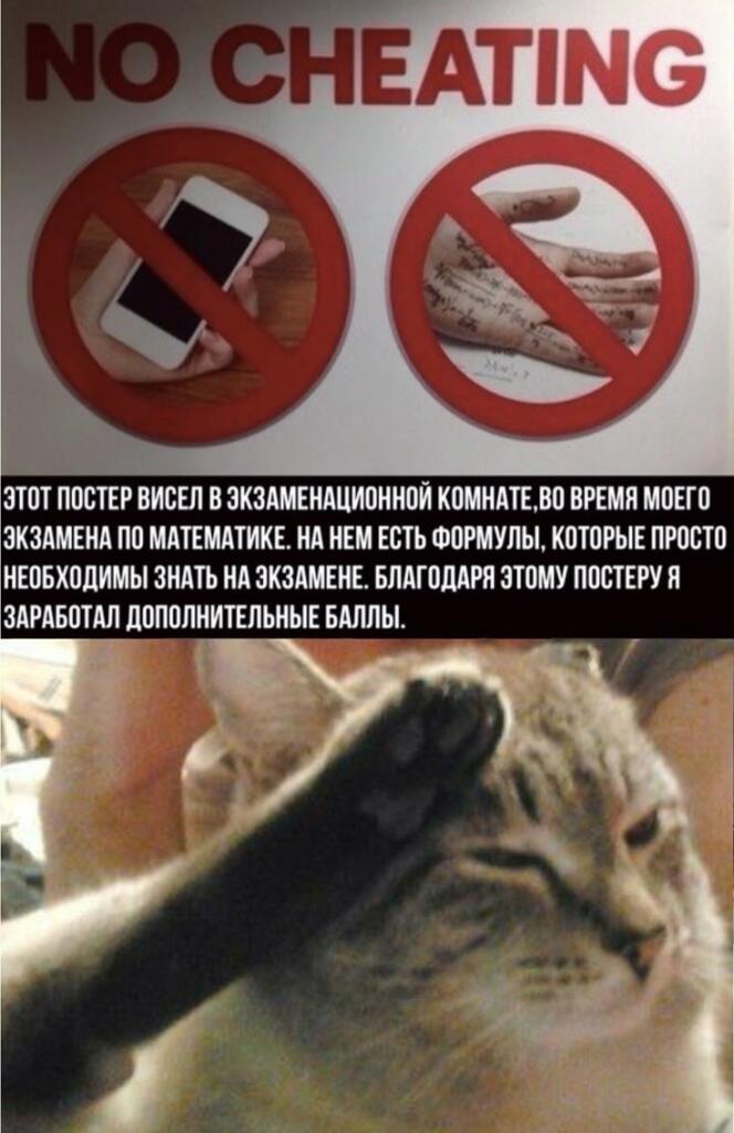 Стреляли по списывающим попали в себя