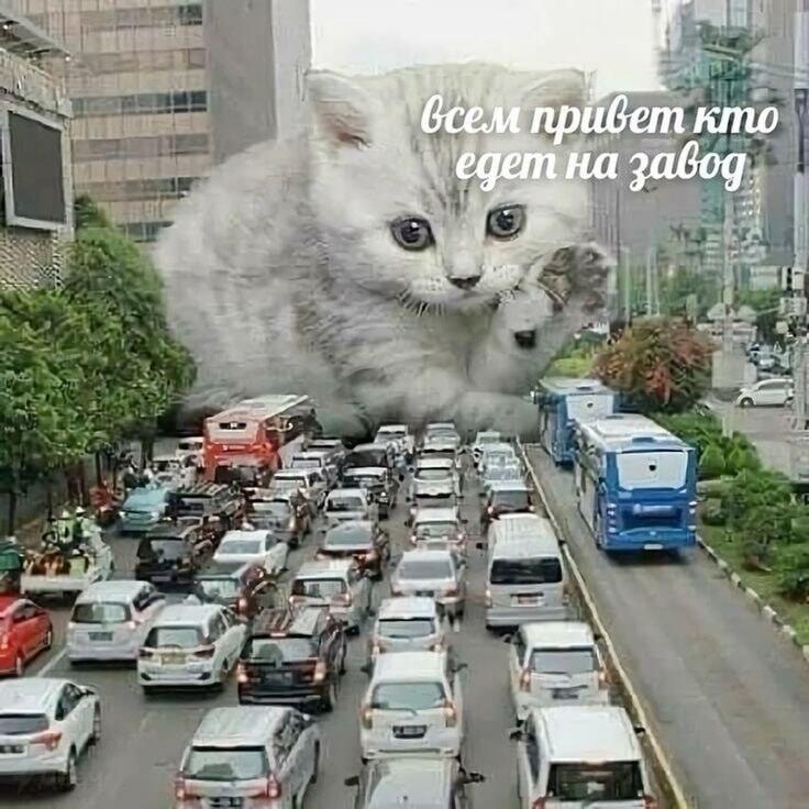 Мем от ГУП "НМТ"