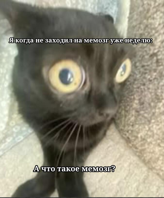 Плов: