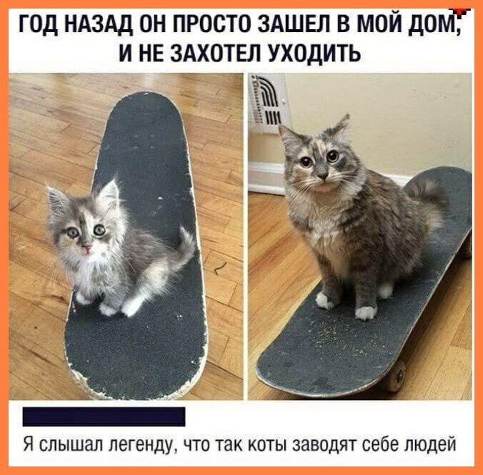 Вот бы и ко мне зашёл такой путник...