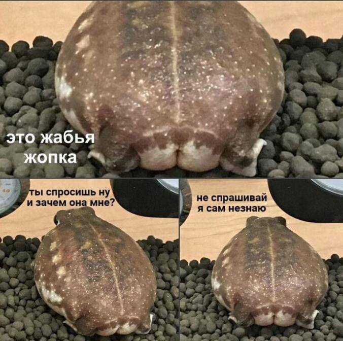 SREDA!!!!