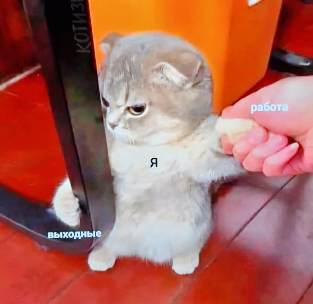 Я: