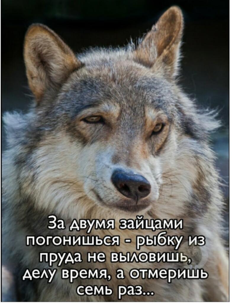 Цитаты по пятницам
Ч. 2