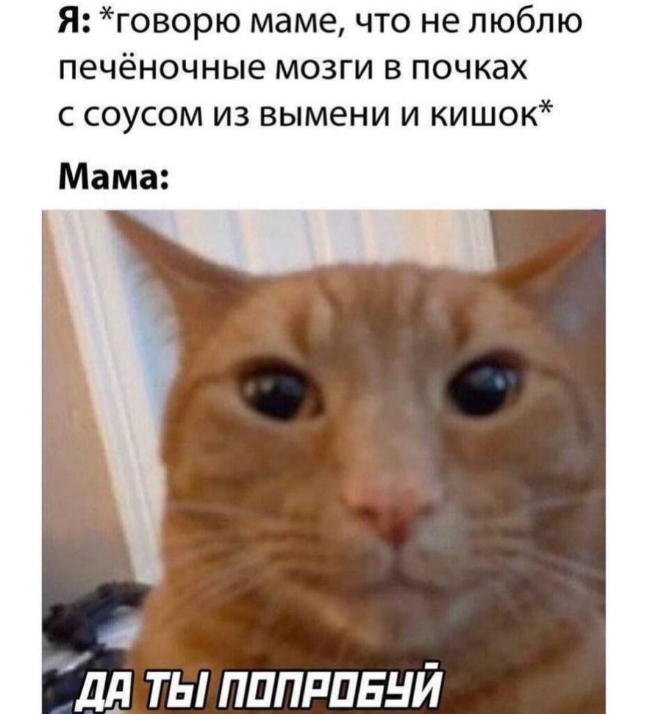 Жыза