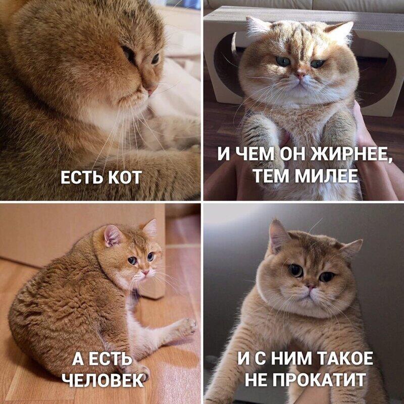 А он прав.