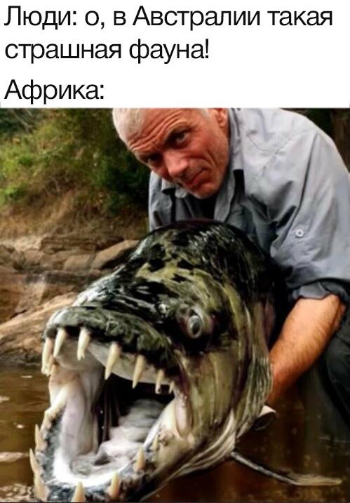 Мем от Джус