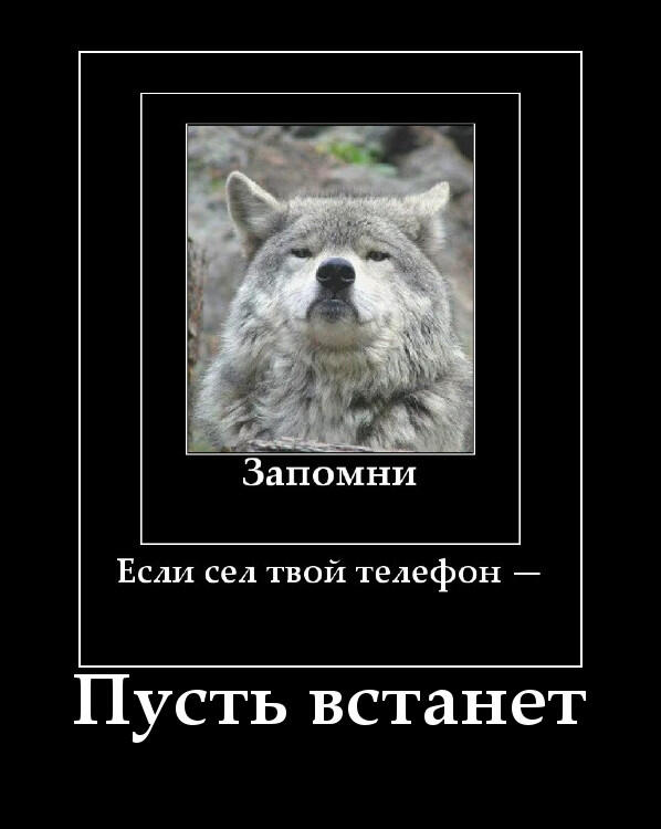 Логично