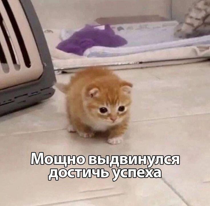 Моя ночная мотивация: