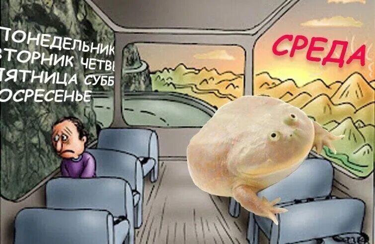Хоть я и до сих пор не понимаю что такого в жабах и среде, но держите