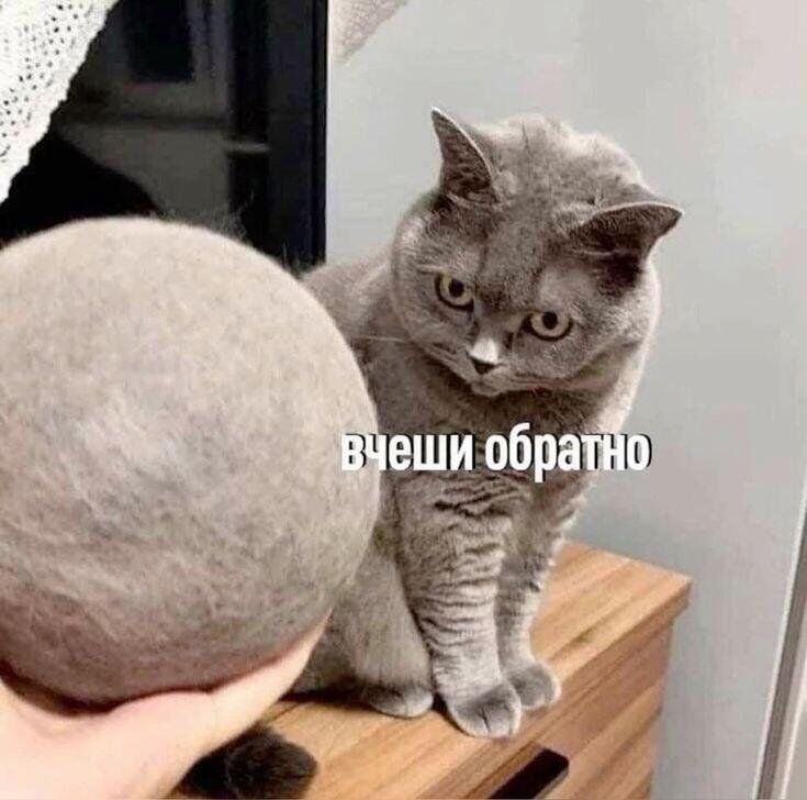 Интересно, это его собранные комки шерсти?