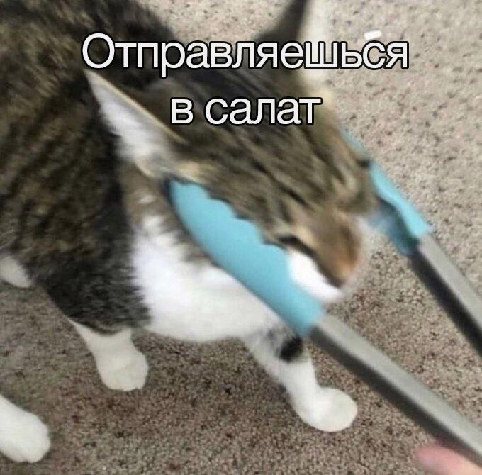 все салаты доели :?