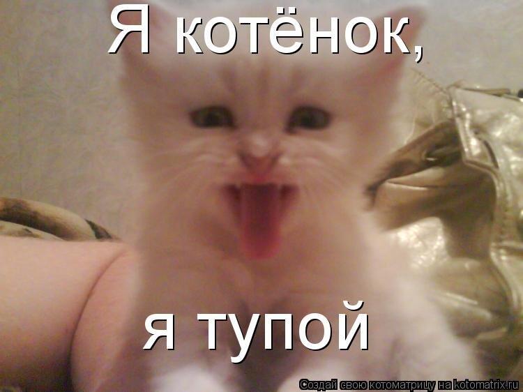 пов: я на контрольной