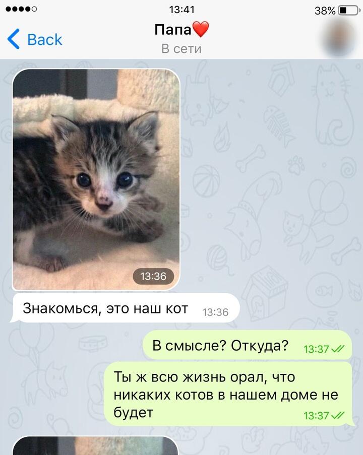 Именно ради такого я и плачу за Интернет.