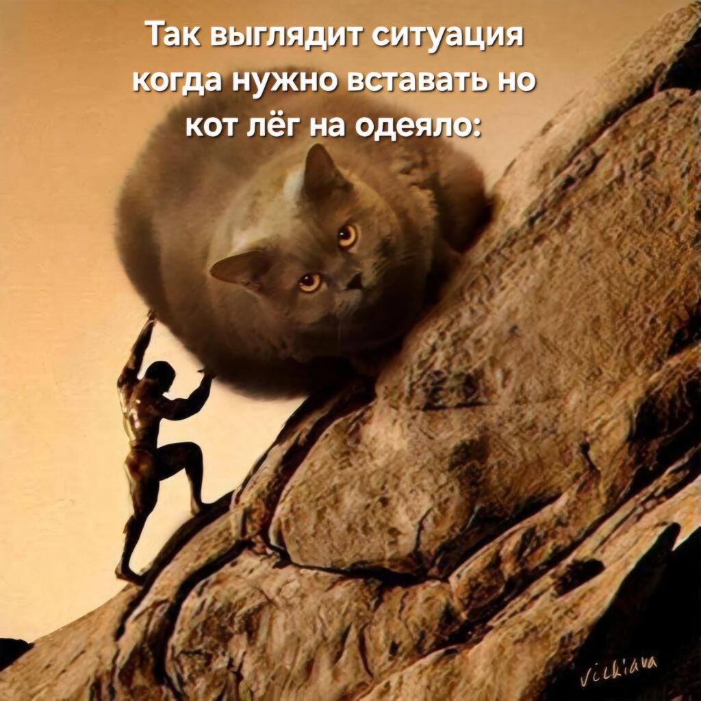 Я жыв