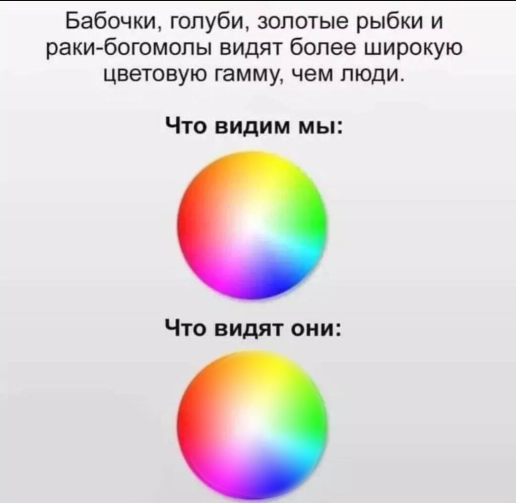 Мем от ᴀᴋᴋᴀунᴛ дᴇᴀᴋᴛиʙиᴩоʙᴀн