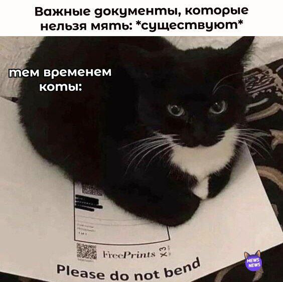Мем без подписи