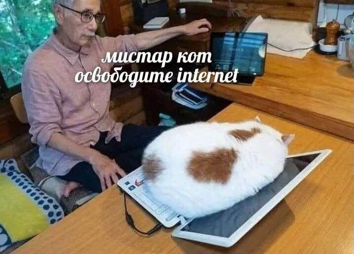 Мем без подписи