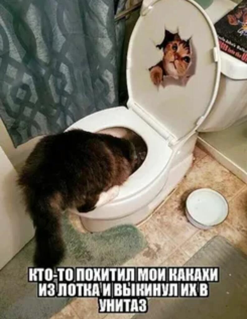 Куда похитил мои какахи? Признавайся 0_-