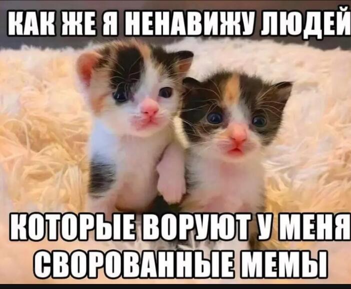 Ну за общее дело опять воруют