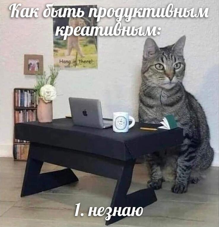 Рандомные факты обо мне.
Факт номер 4.
Я обожаю всех тех, кто лайкает мои посты и пишет комментарии. Спасибо за актив!
(