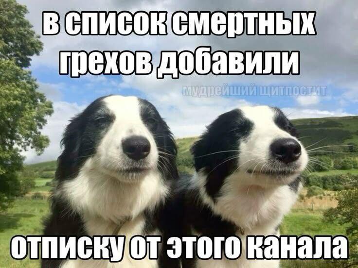 Чота