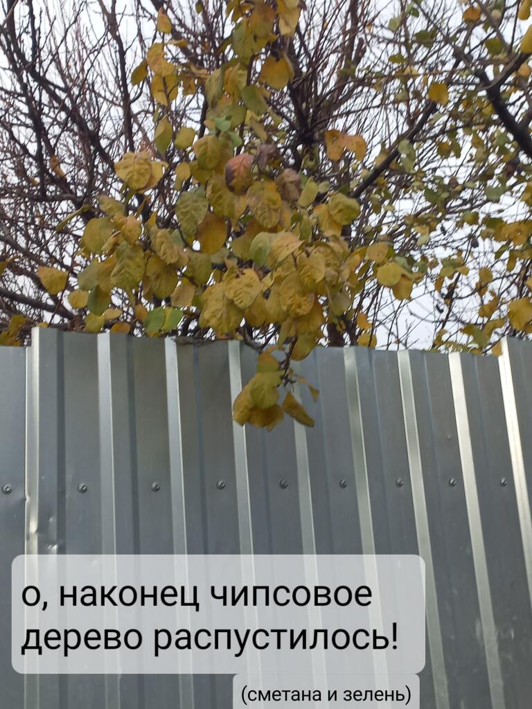 Не сильно люблю чипсы, но не осуждаю и вообще не против