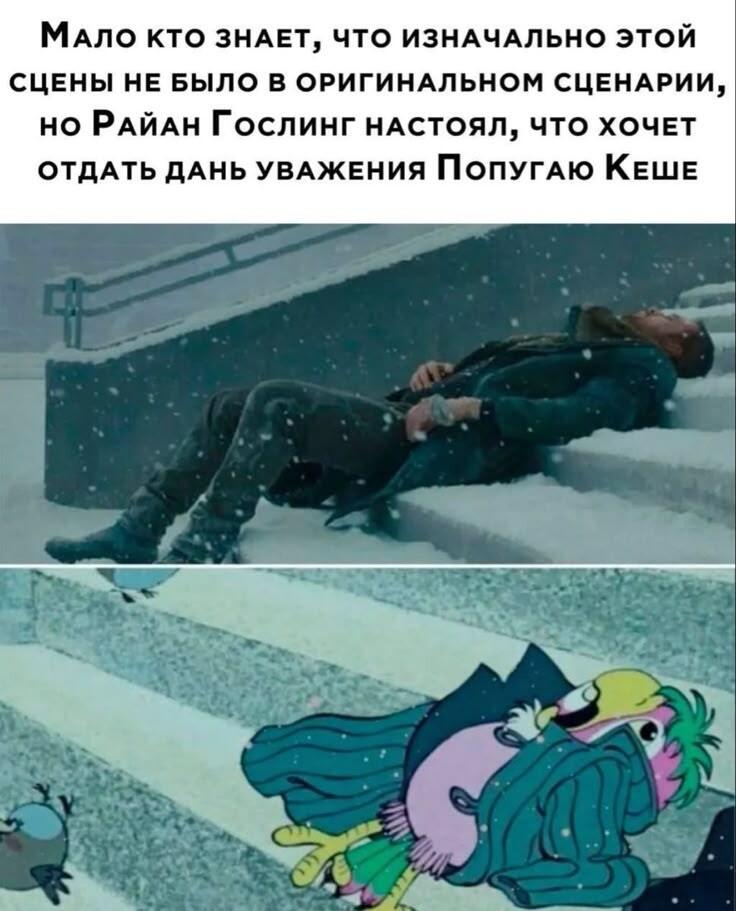 Интересный факт