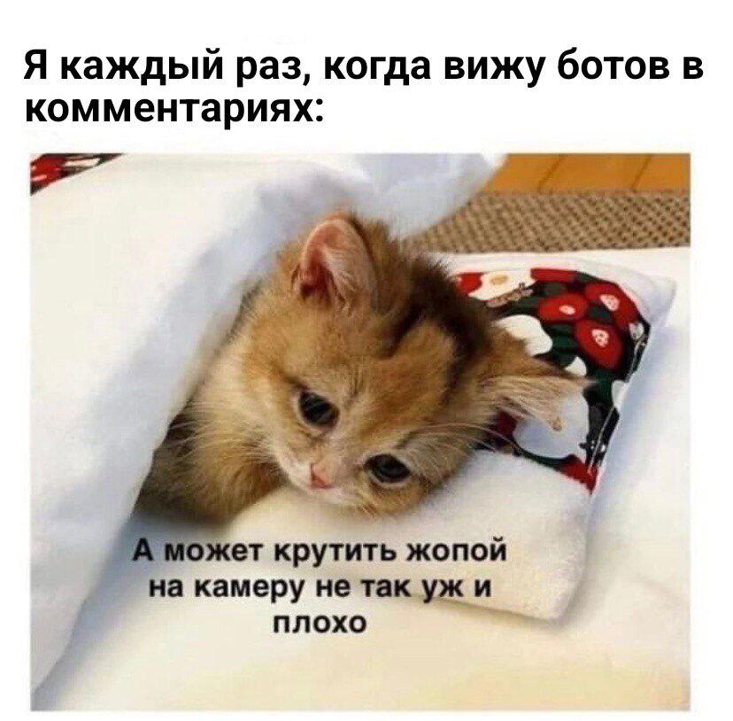 Сделала самый актуальный мем для тг.
Кто тоже постоянно ботов видит?