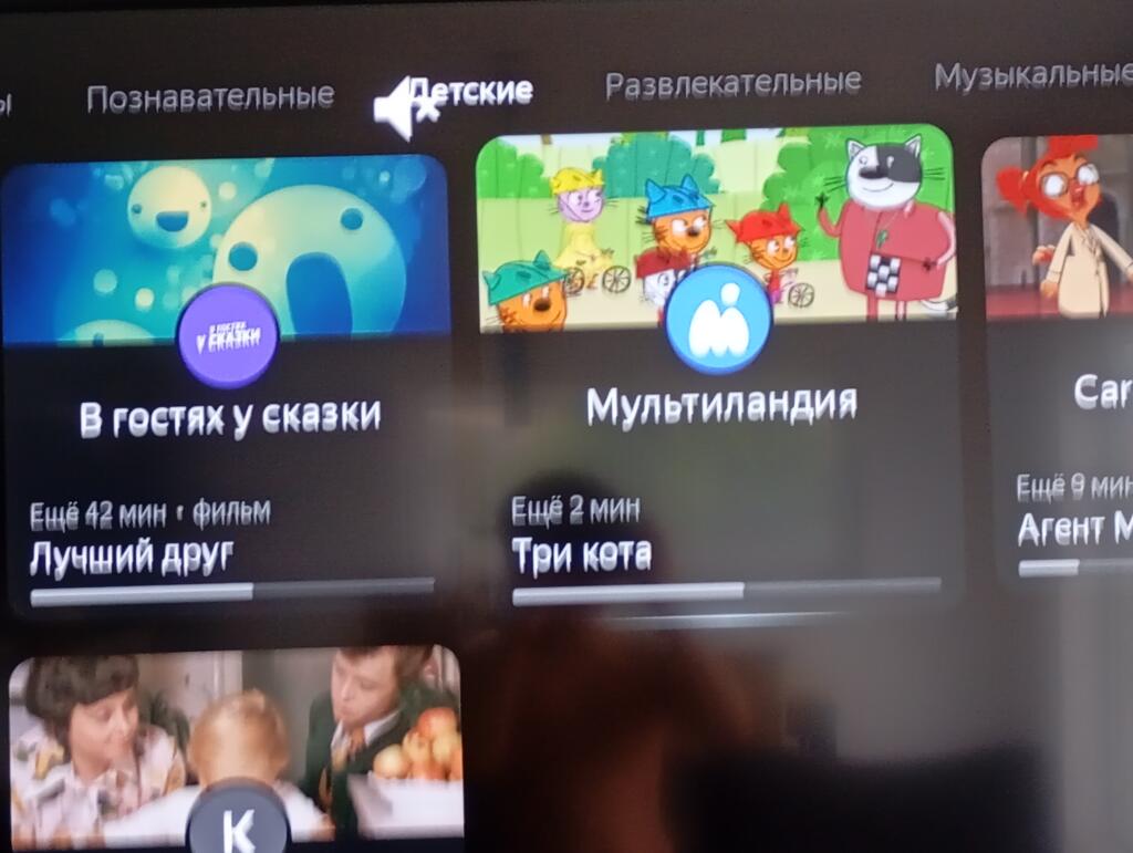 9 котов