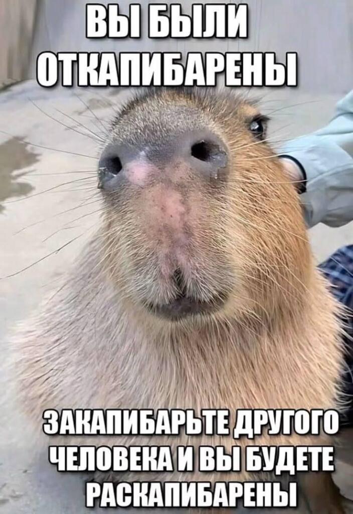 Мем от ГУП "НМТ"