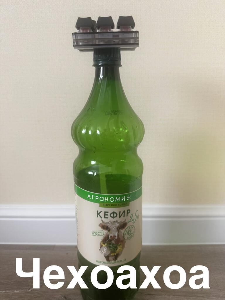 Чехоахоа