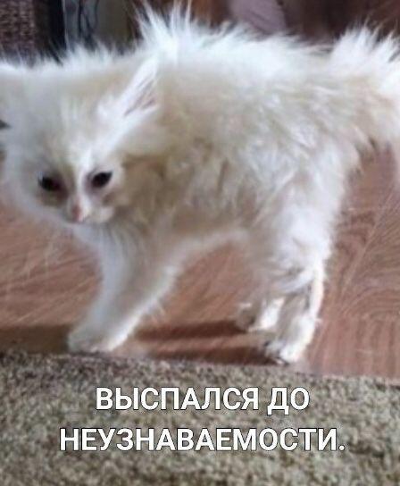 Коротко о том как я высыпаюсь