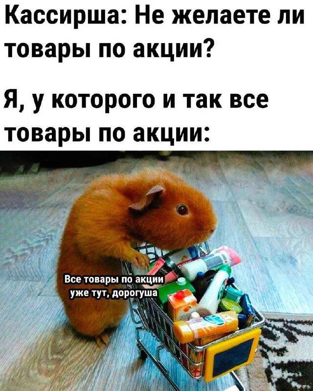 Мем от ГУП "НМТ"