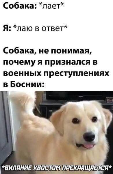 Мем от .