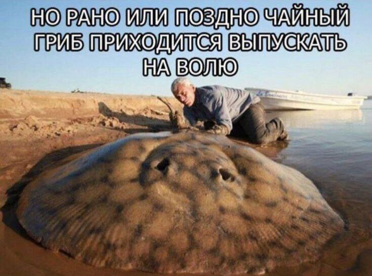 Мем от St_Egor