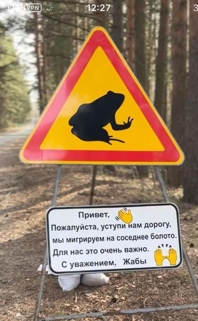 Сегодня в Москве -14, жабы мигрируют на юг