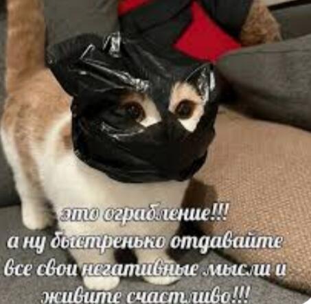 Да с радостью!