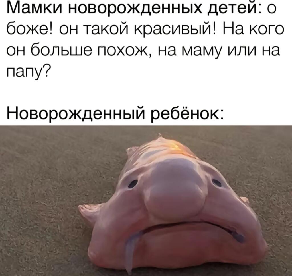 Я жива