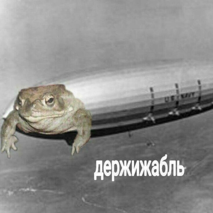 It's Wednesday my dudes!
