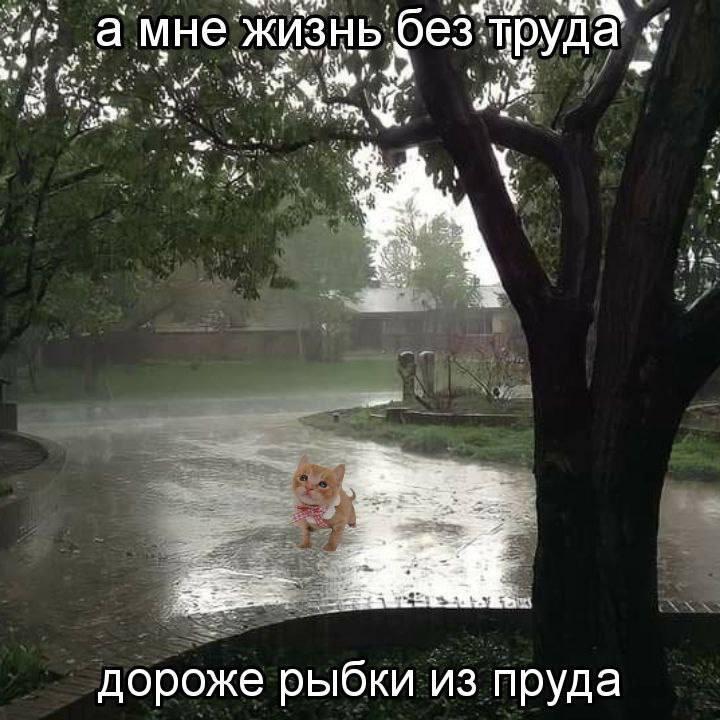 Ну я!