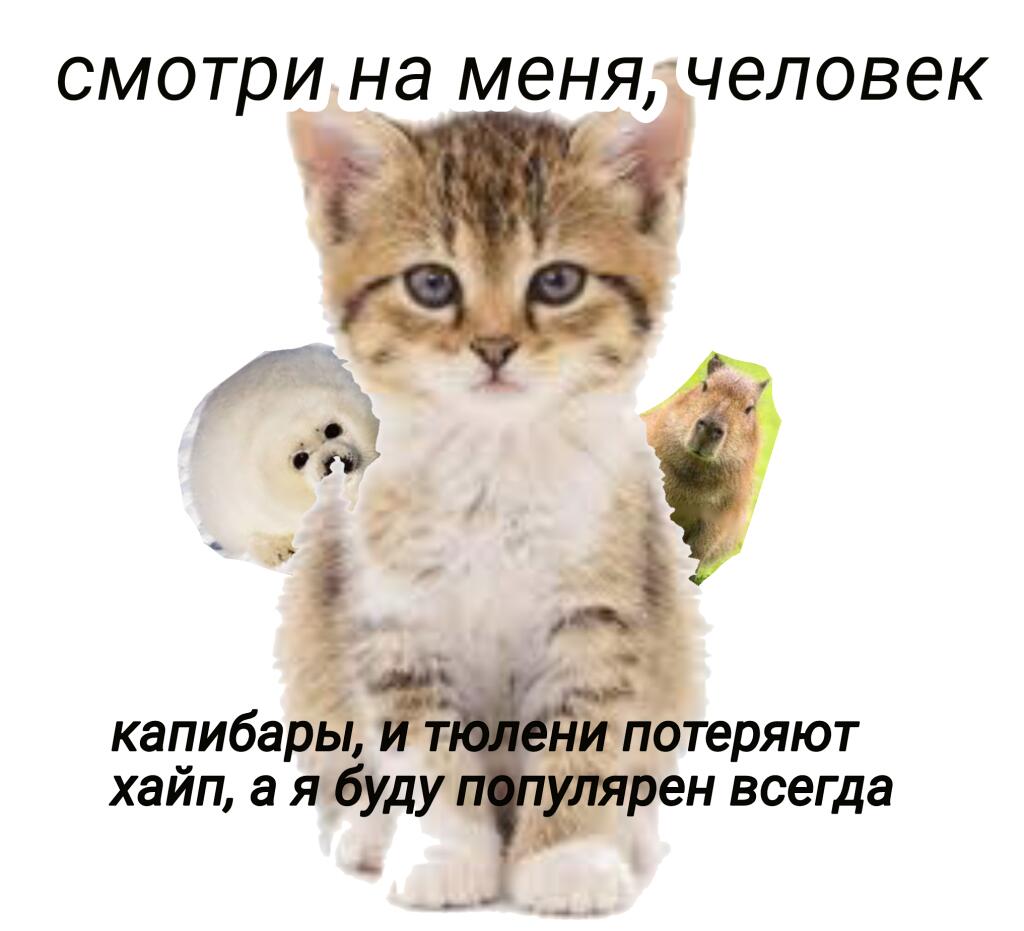 Мем от Пользователь ID:7811