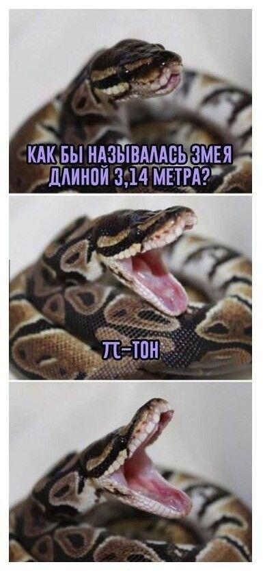 Время для ЗМЕИНОГО ЮМОРА, господа!